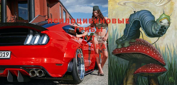 эйфоретик Богородск