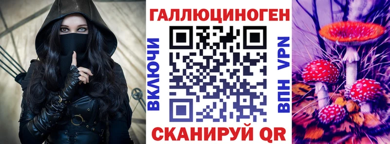 Псилоцибиновые грибы Magic Shrooms  Купить  Нерюнгри 